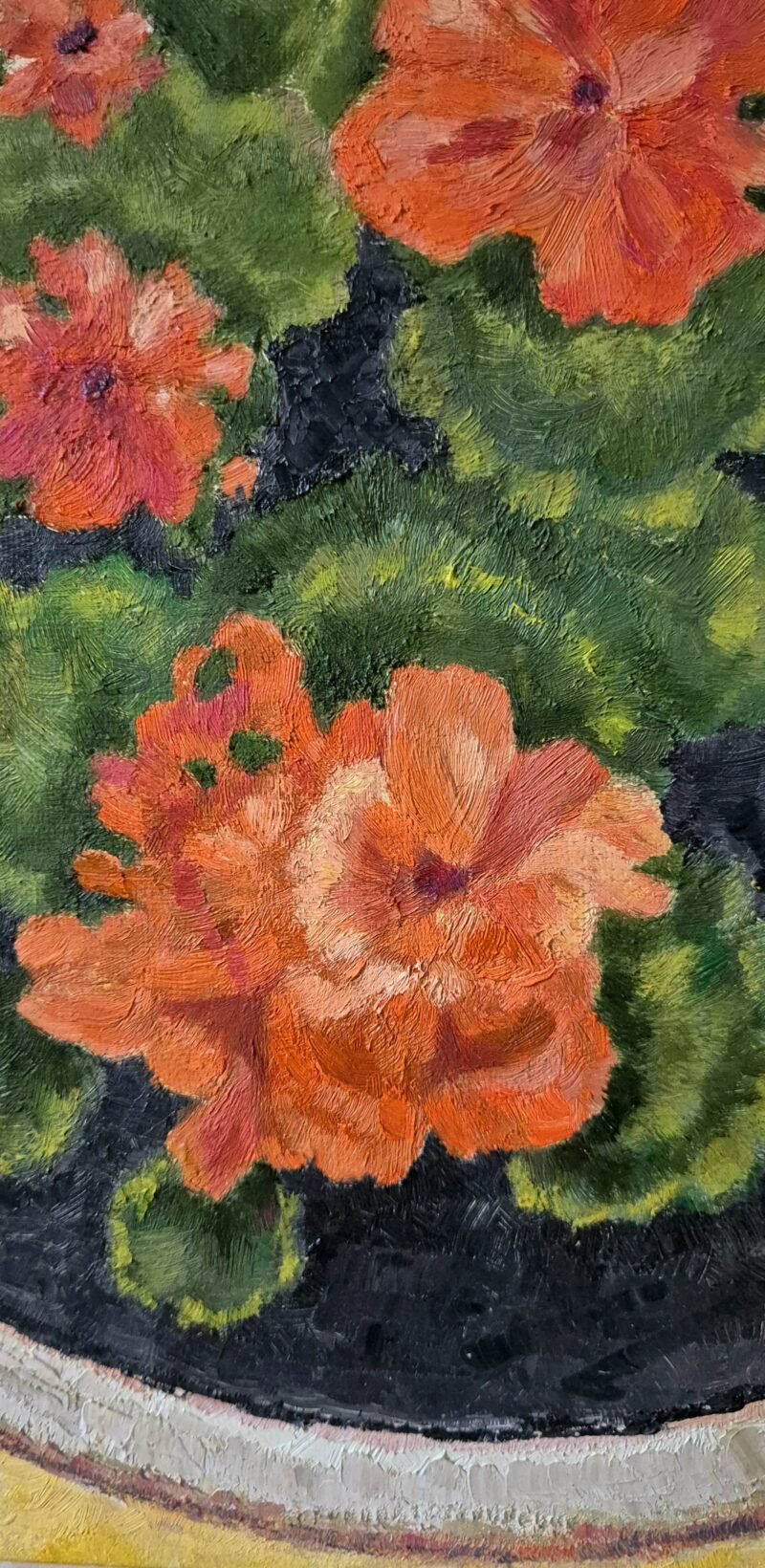 'Orange geraniums in the sun light' by CorinaLivanu' - Image 3