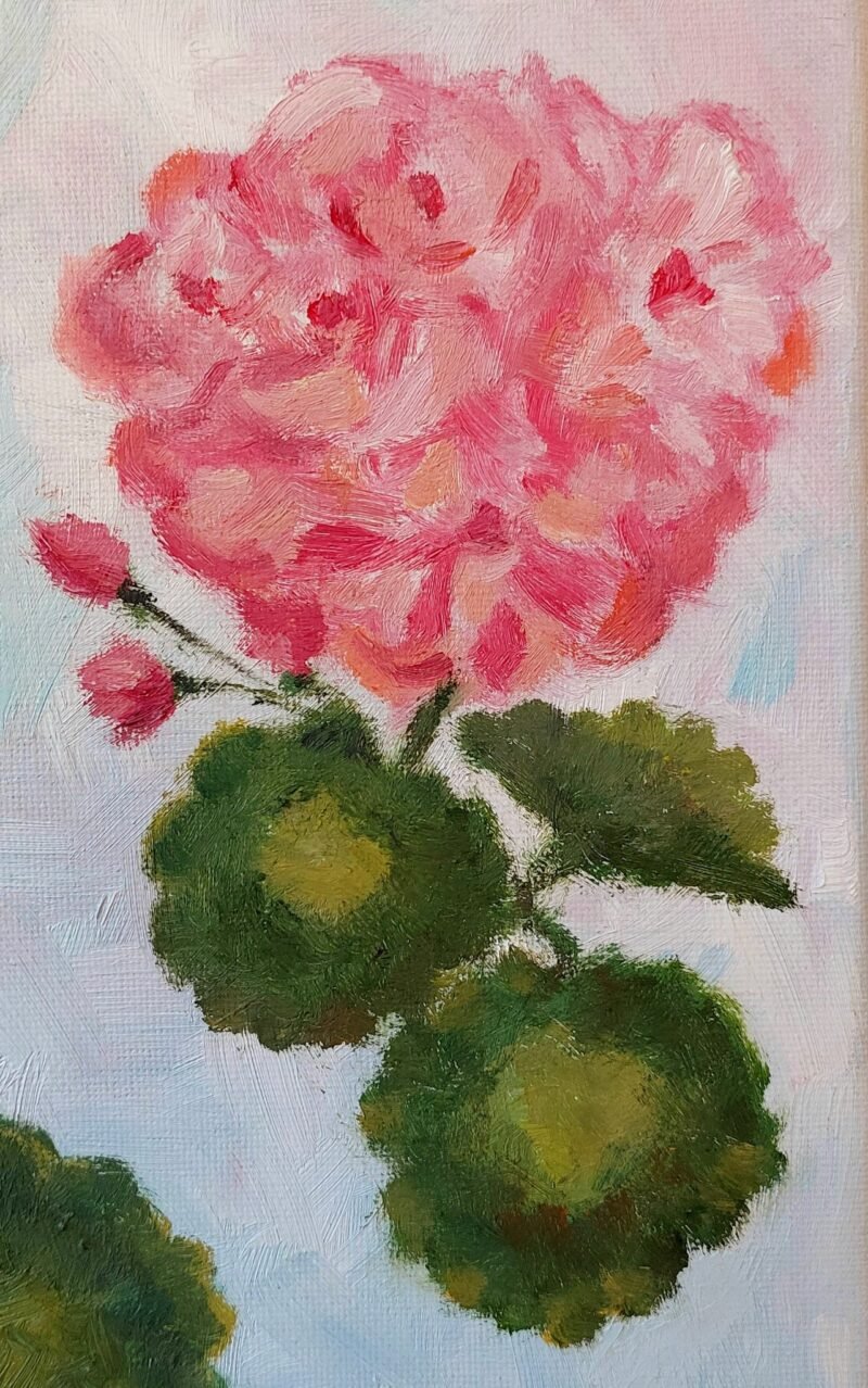 'Lovely pink geraniums' by Corina Livanu - Image 4