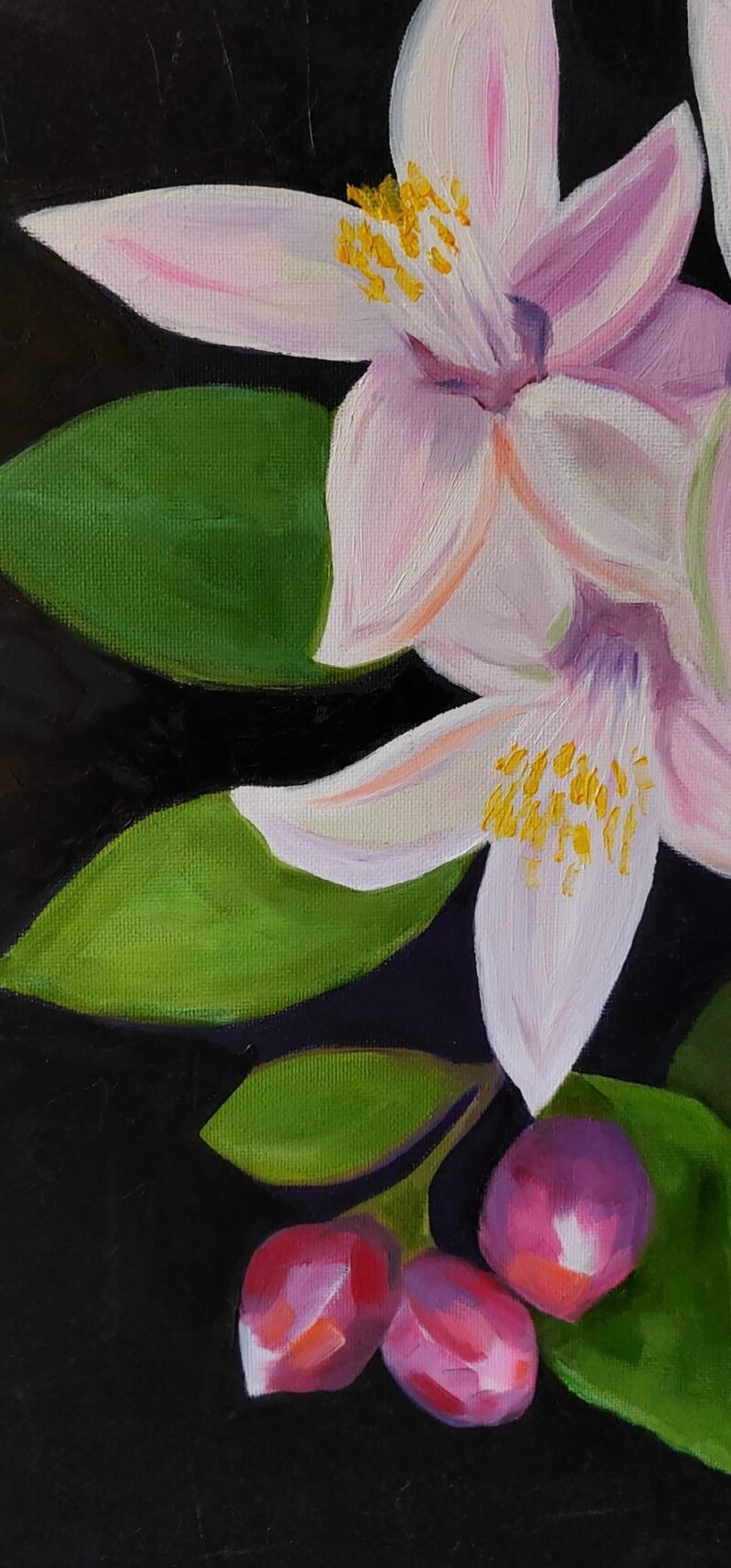 'Lemon tree in bloom' by Corina Livanu - Image 3