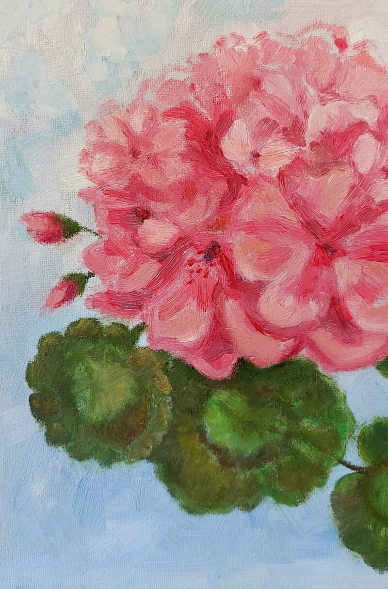 'Lovely pink geraniums' by Corina Livanu - Image 3