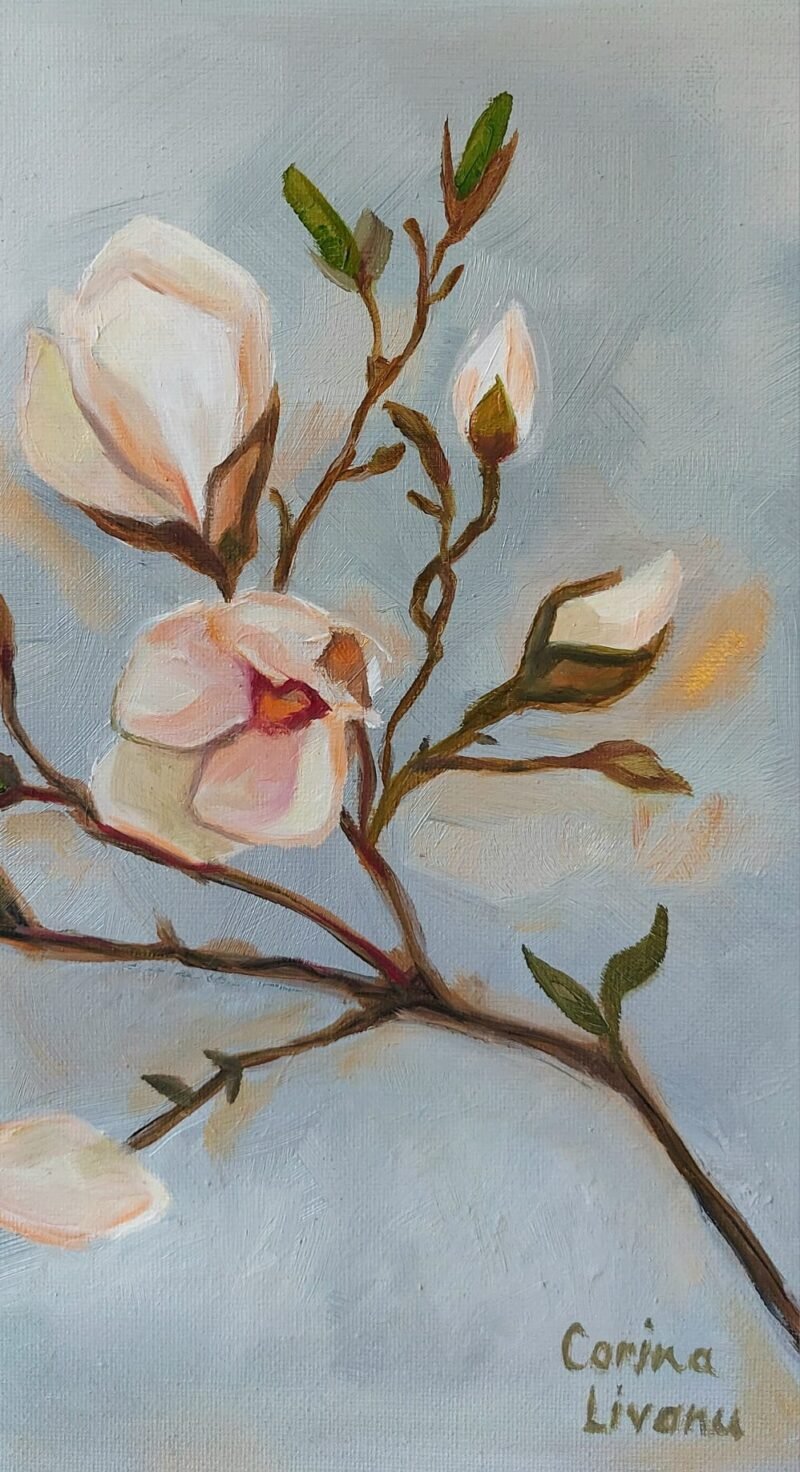 'Beautiful magnolia in spring time' by Corina Livanu - Image 2