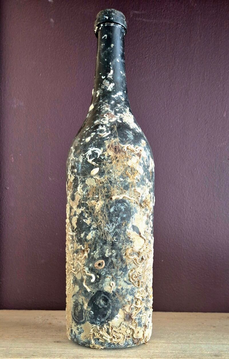 Shipwreck encrusted bottle - Image 2