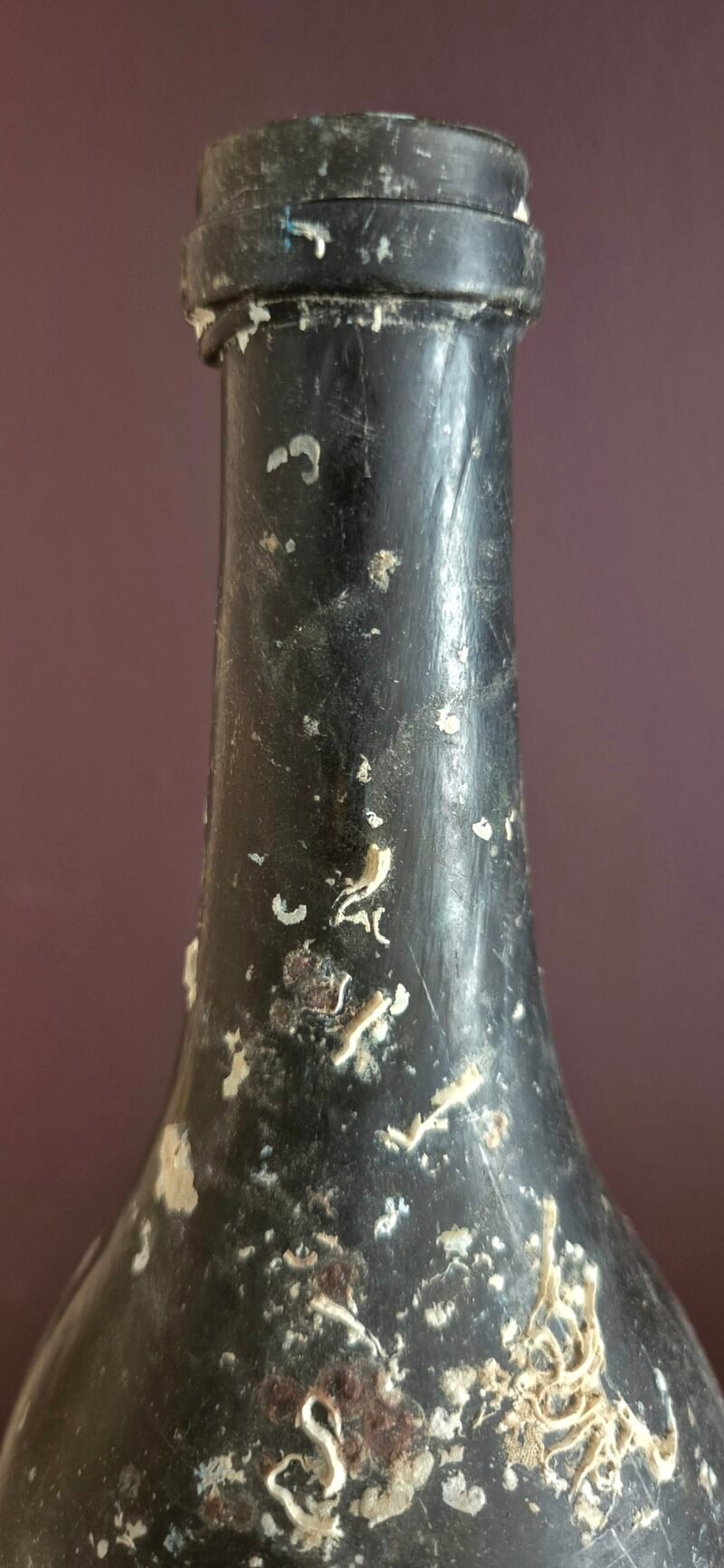Shipwreck encrusted bottle - Image 3