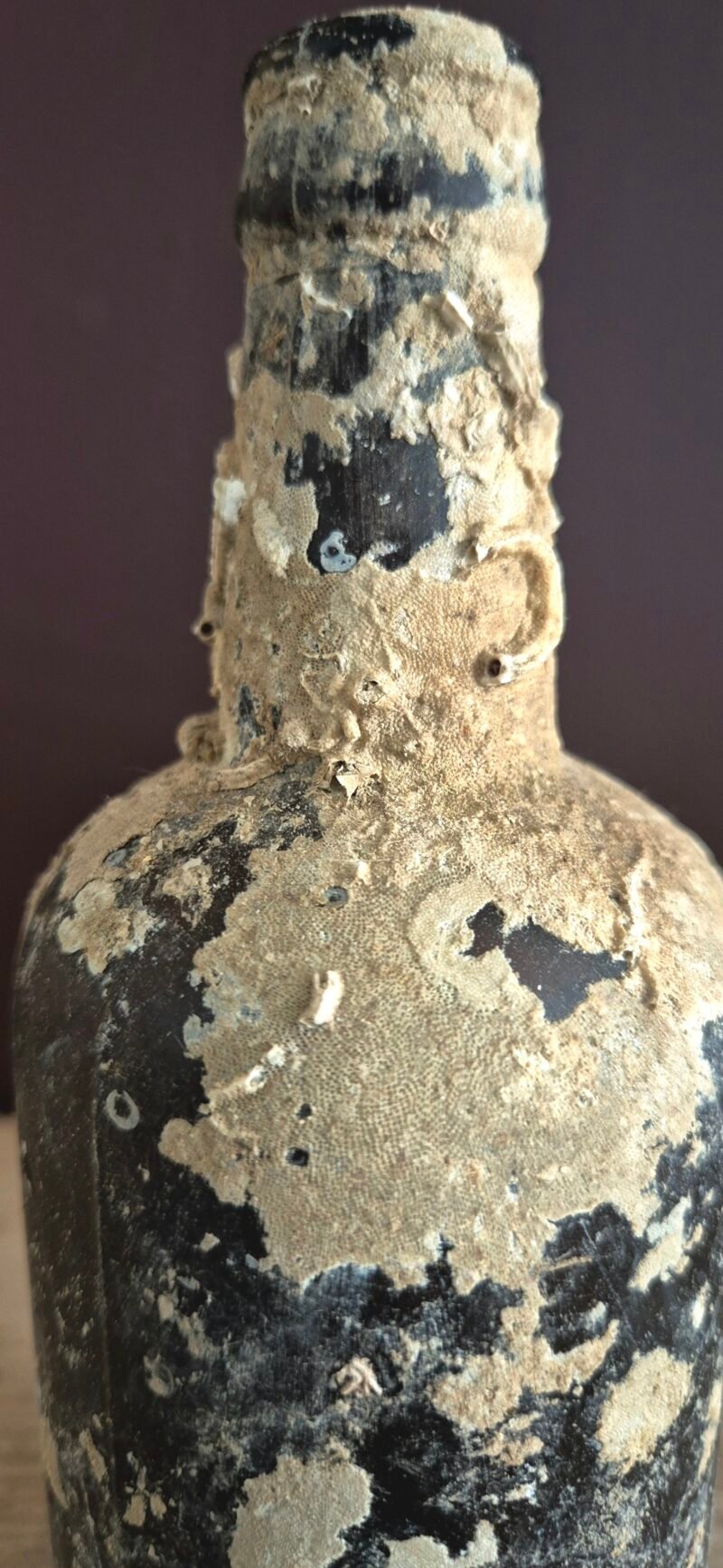 Shipwreck encrusted bottle - Image 3