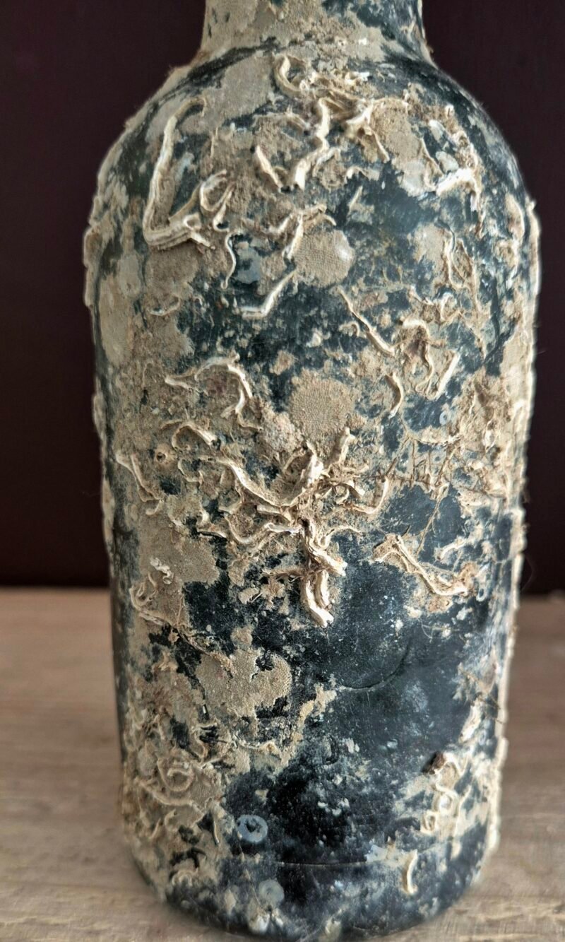 Shipwreck encrusted bottle - Image 3