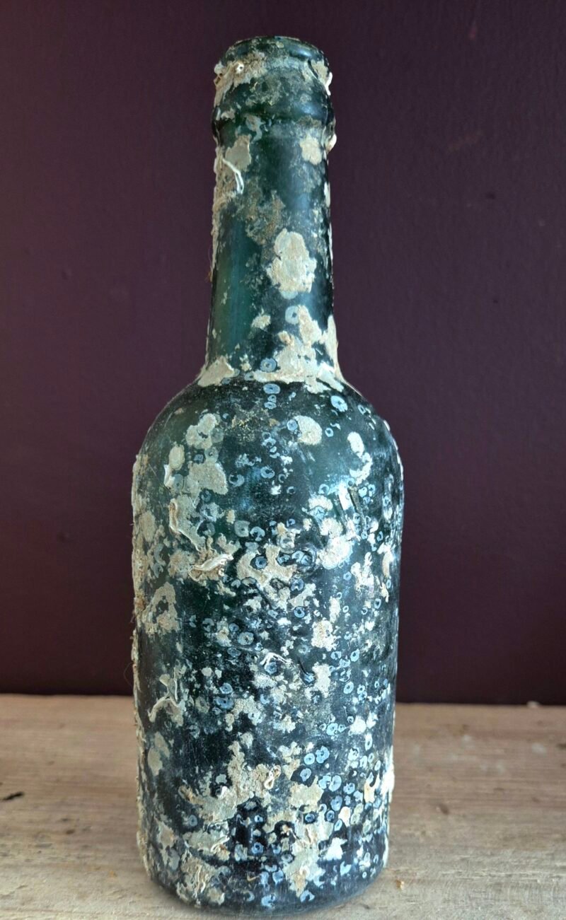 Shipwreck encrusted bottle - Image 4
