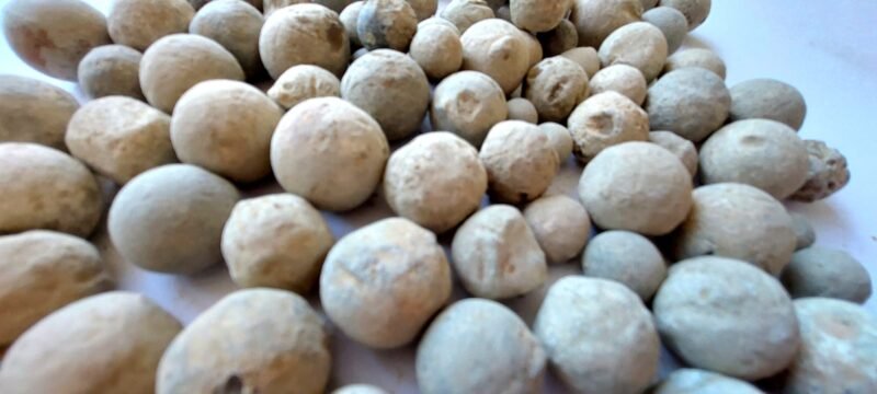 Shipwreck musket balls - Image 2