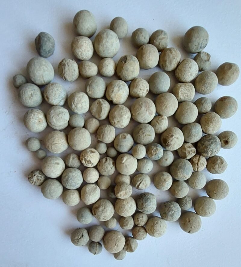 Shipwreck musket balls - Image 3